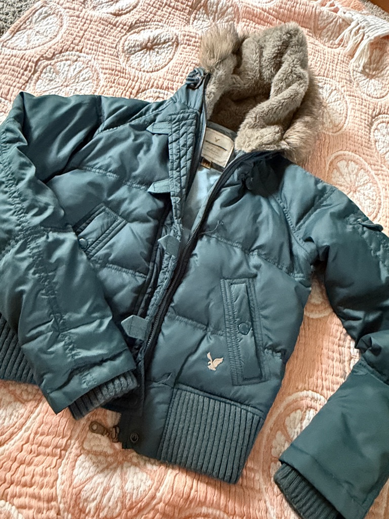 American Eagle Outfitters Teal Puffer Jacket With Faux Fur Hood